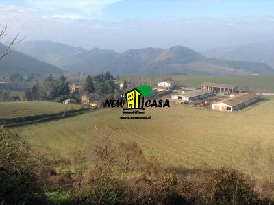 Azienda Agricola in Vendita a Civitella di Romagna