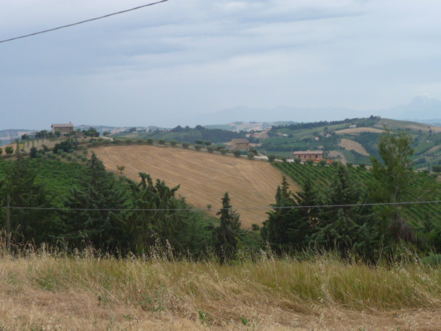 Rustico - Cascina MONSAMPOLO DEL TRONTO vendita    Casa In Immobiliare