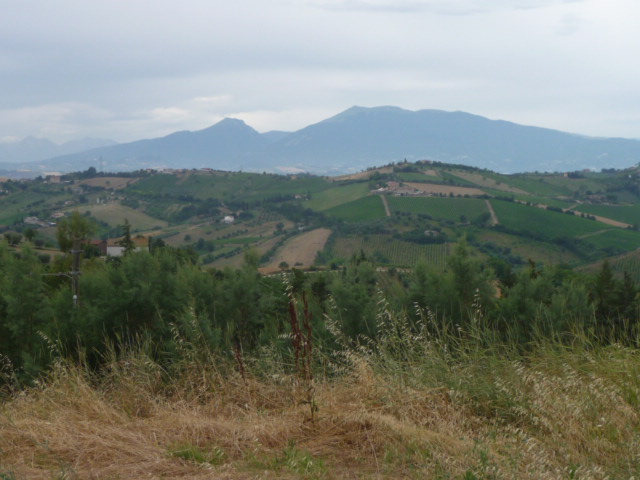 Rustico - Cascina MONSAMPOLO DEL TRONTO vendita    Casa In Immobiliare