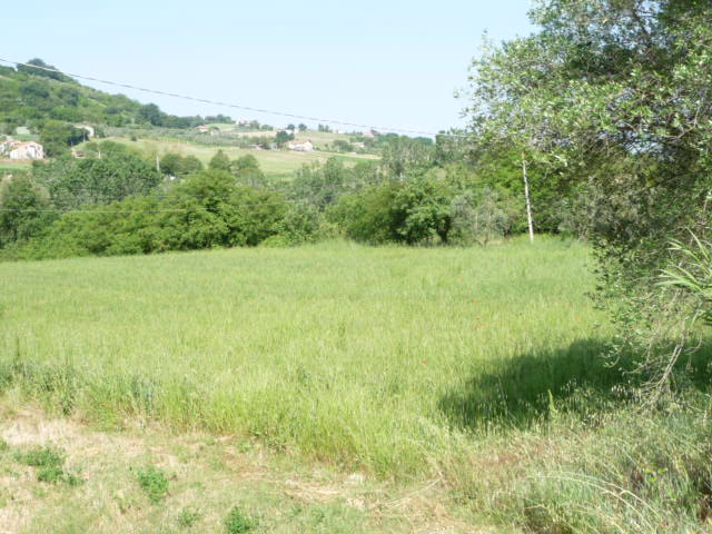 Rustico - Cascina MONSAMPOLO DEL TRONTO vendita    Casa In Immobiliare