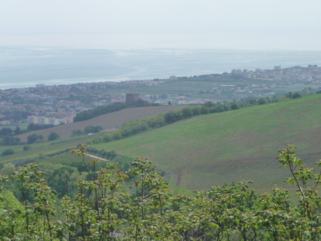  colonnella vendita quart:  casa-in-immobiliare