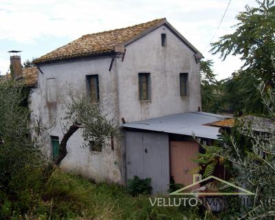 Casa indipendente in vendita a Senigallia (AN)