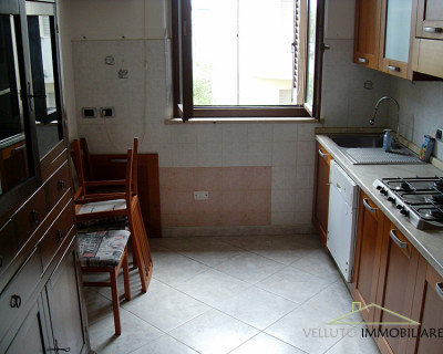 Appartamento in vendita a Trecastelli (AN)