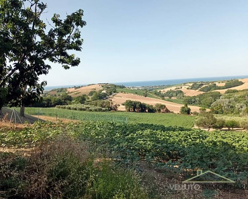 Terreno Agricolo in Vendita a Senigallia