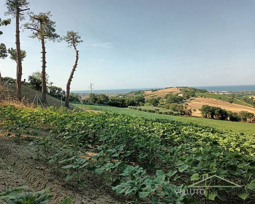 Terreno agricolo in vendita a Senigallia (AN)