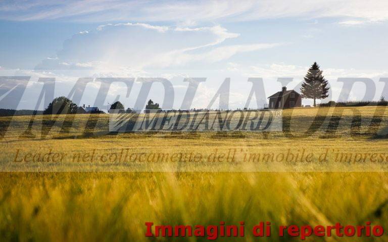 Terreno Industriale in Vendita - Foto 4