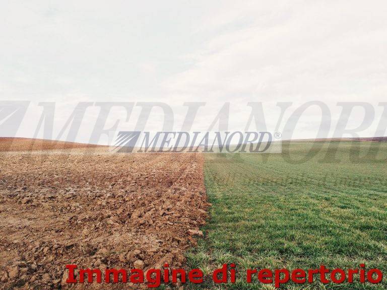 Terreno Industriale in Vendita - Foto 6