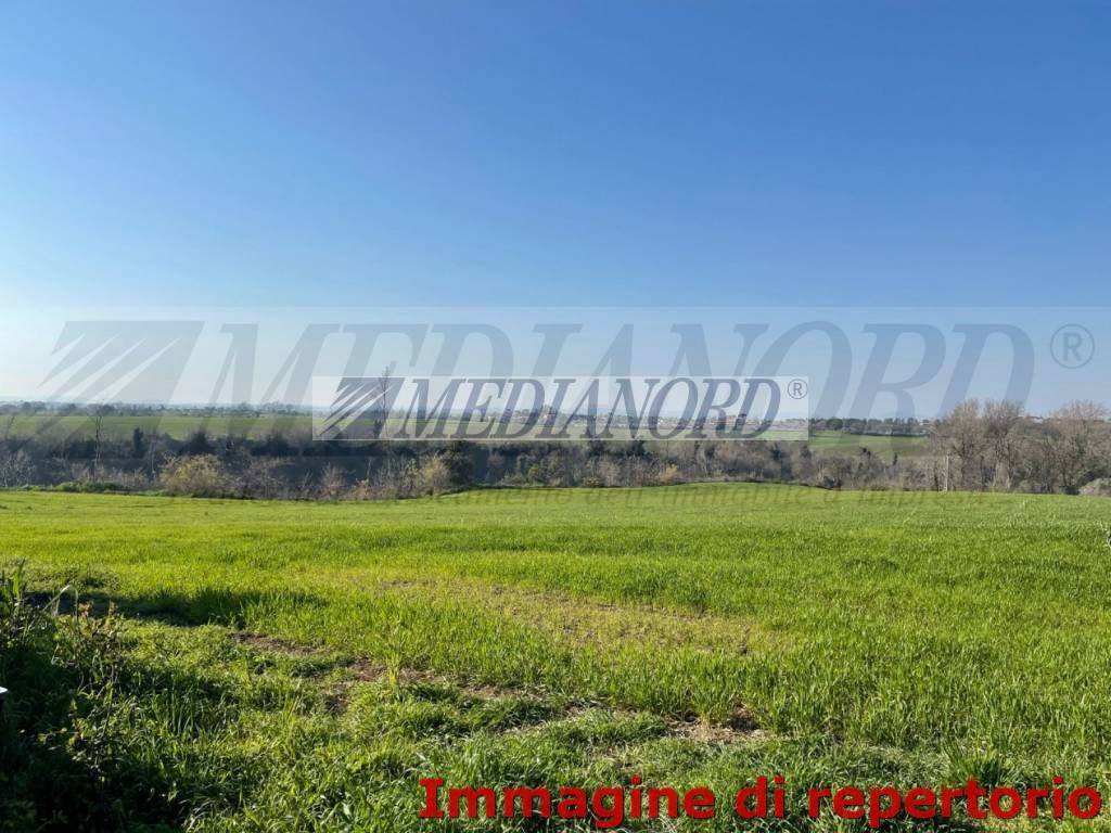 Terreno Industriale in Vendita - Foto 7