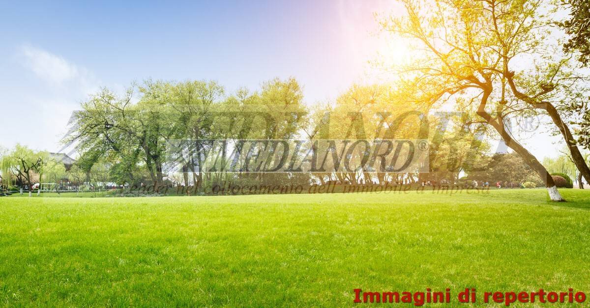 Terreno Commerciale in Vendita - Foto 3