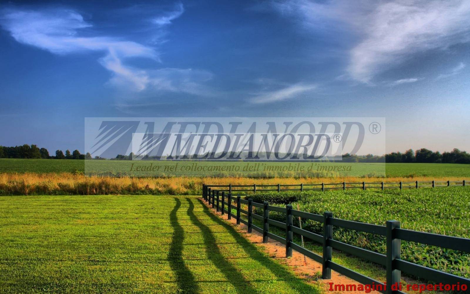 Terreno Commerciale in Vendita - Foto 5