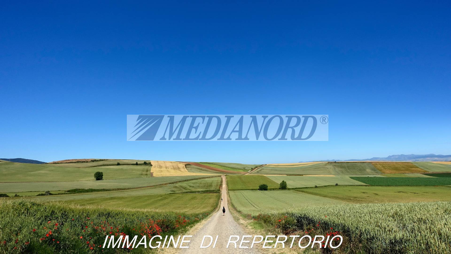 Terreno Commerciale in Vendita - Foto 2