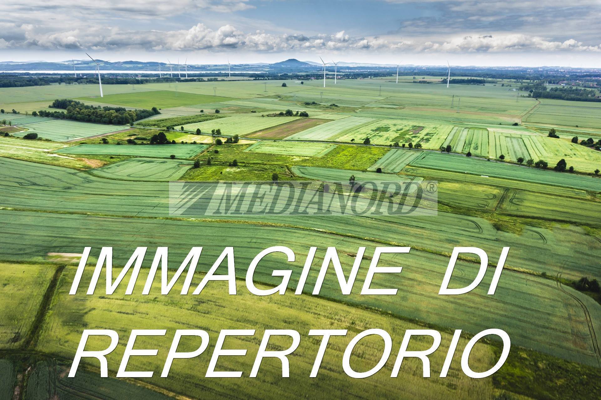 Terreno Commerciale in Vendita - Foto 4