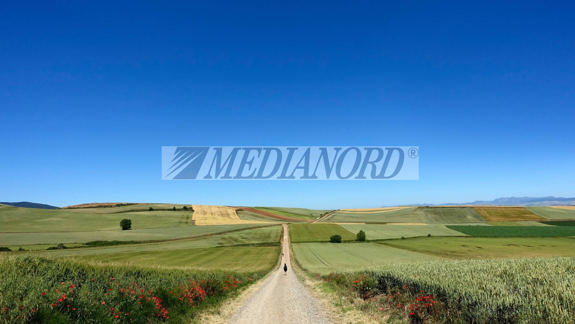Terreno Industriale in Vendita - Foto 10
