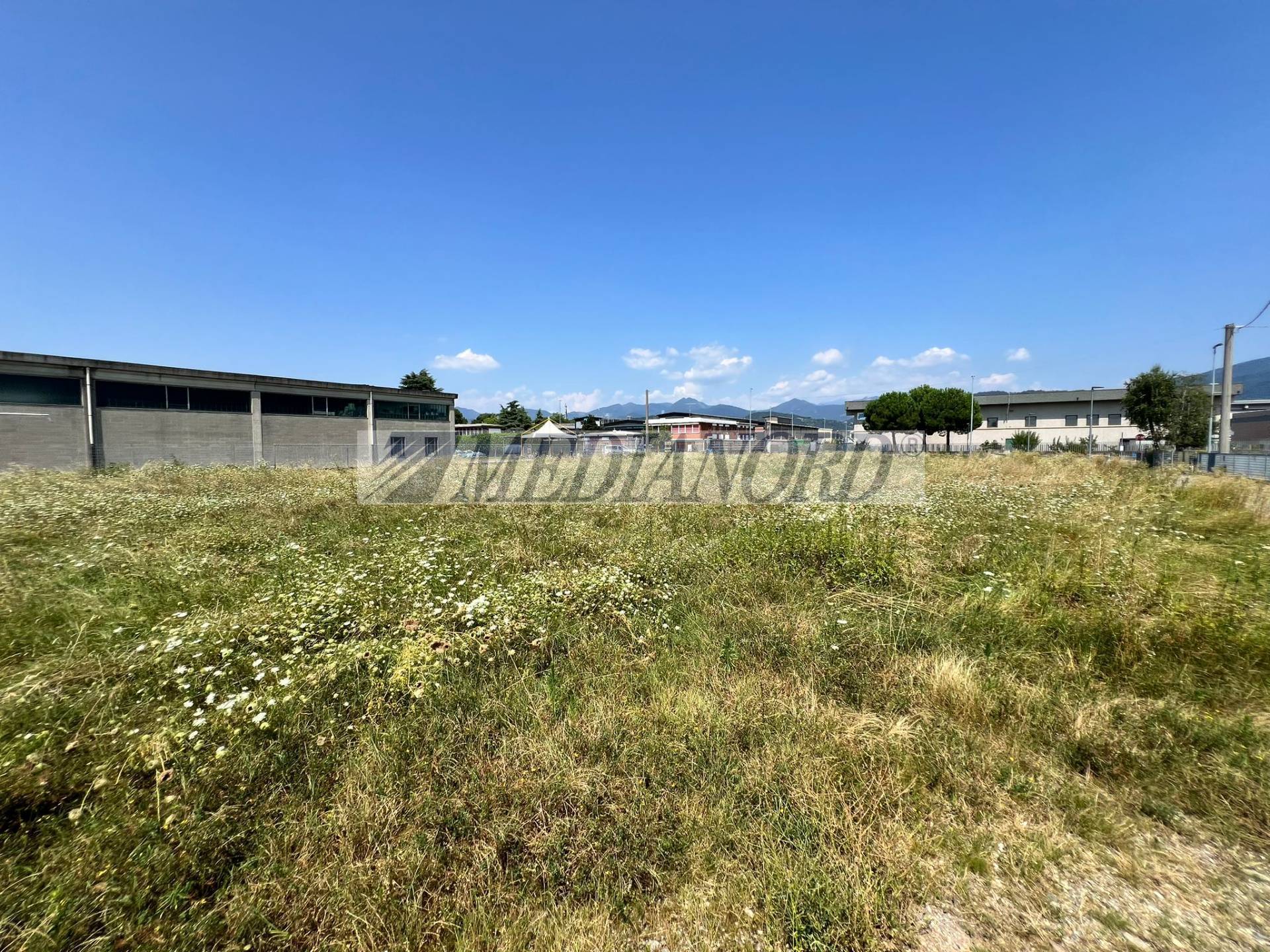 Terreno Industriale in Vendita - Foto 2