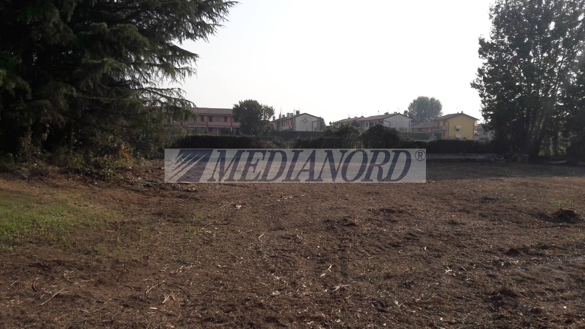Terreno Industriale in Affitto - Foto 7