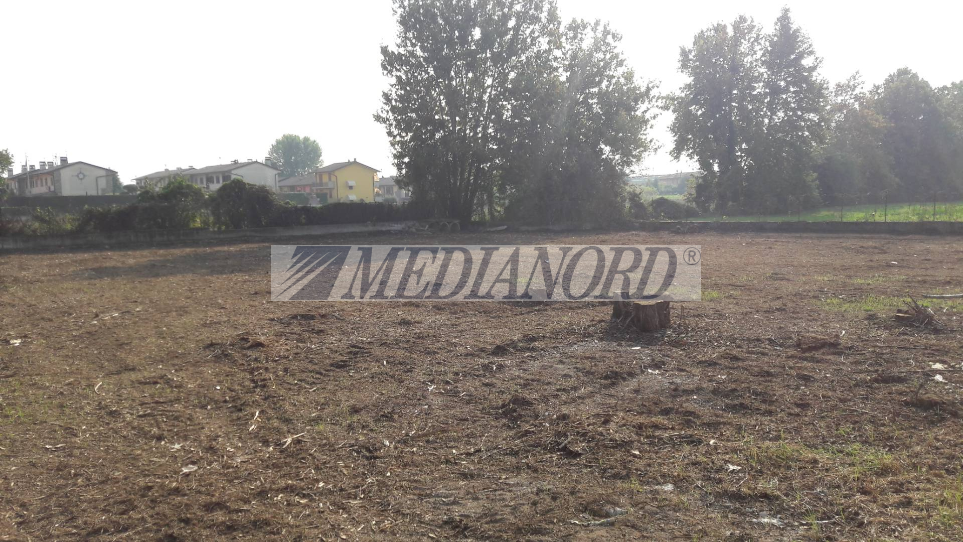 Terreno Industriale in Affitto - Foto 8
