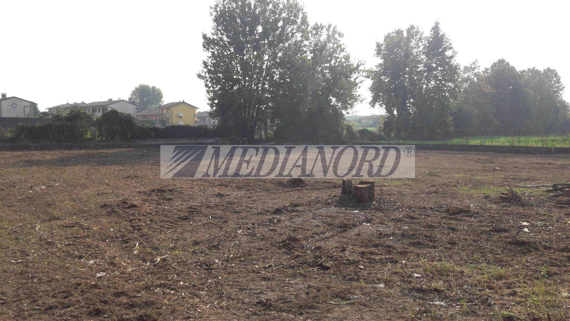 Terreno Industriale in Affitto - Foto 11