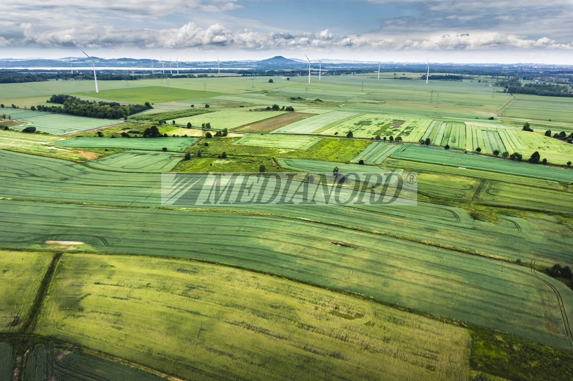 Terreno Industriale in Vendita - Foto 3