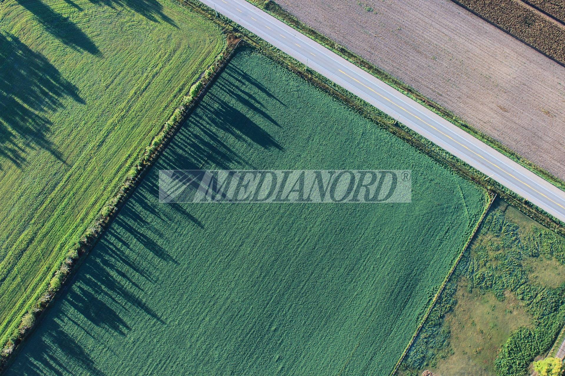 Terreno Industriale in Vendita - Foto 2