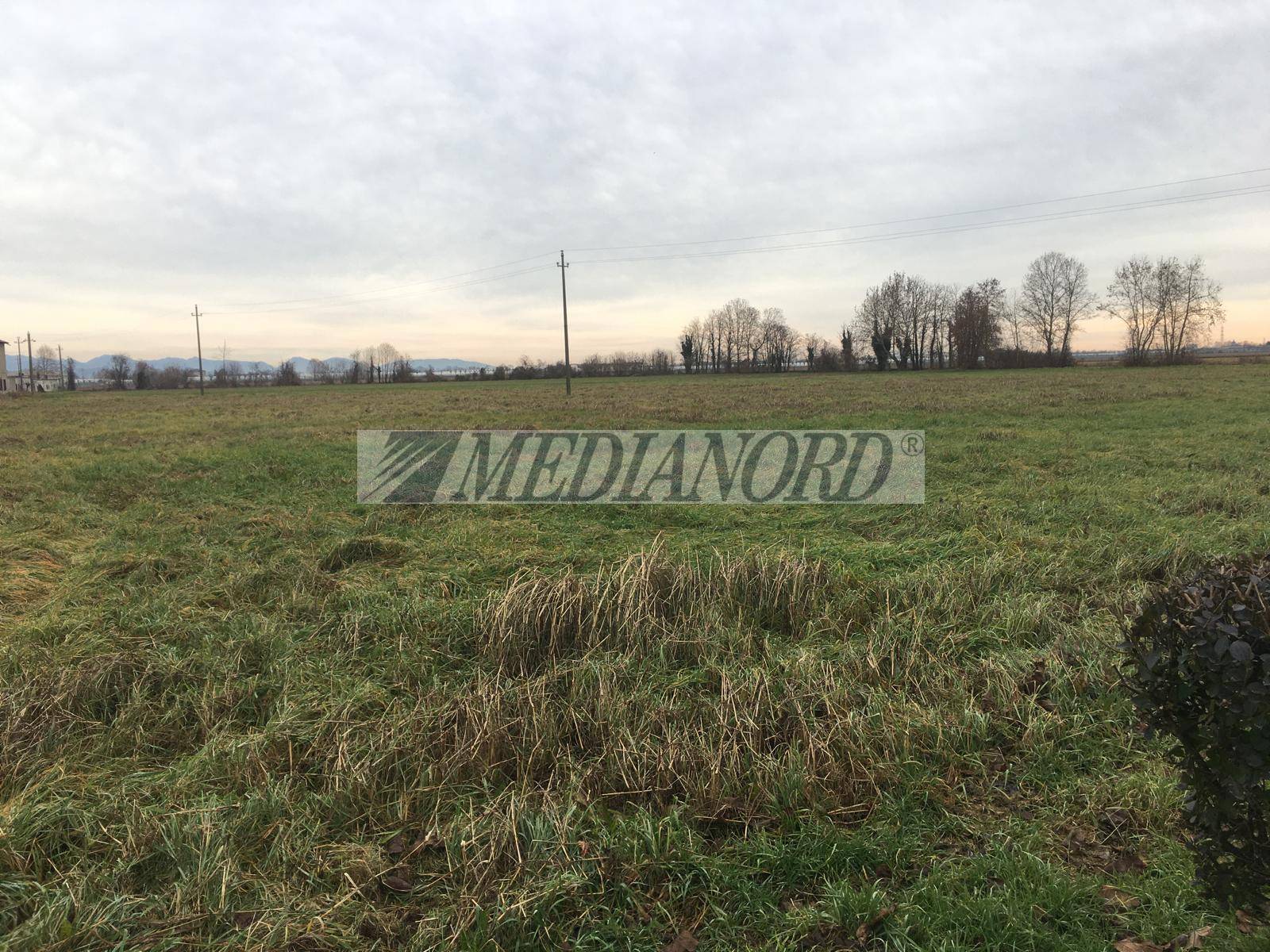 Terreno Residenziale in Vendita - Foto 6