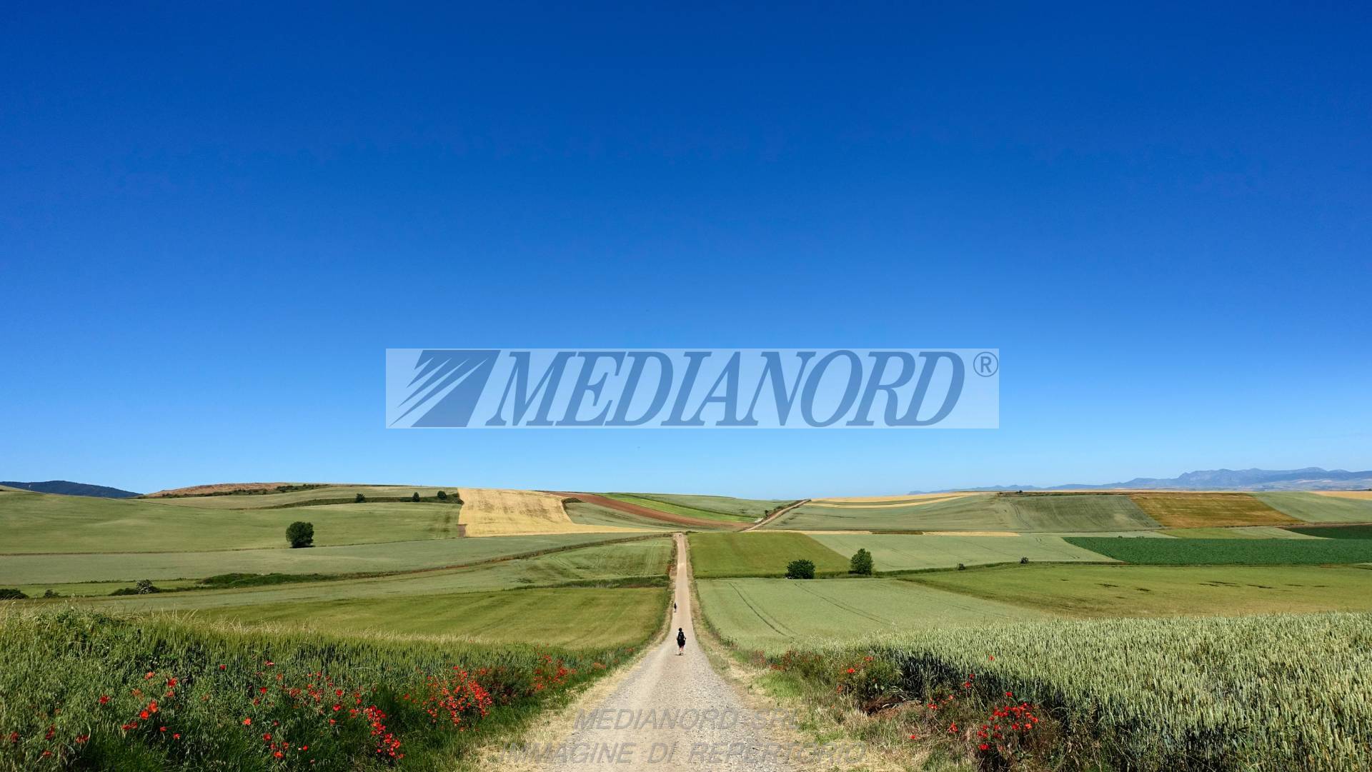 Terreno Industriale in Vendita - Foto 4