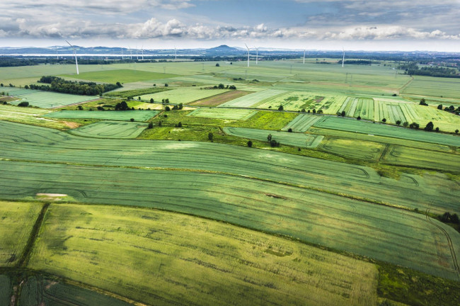 Terreno Commerciale in Vendita a Urgnano