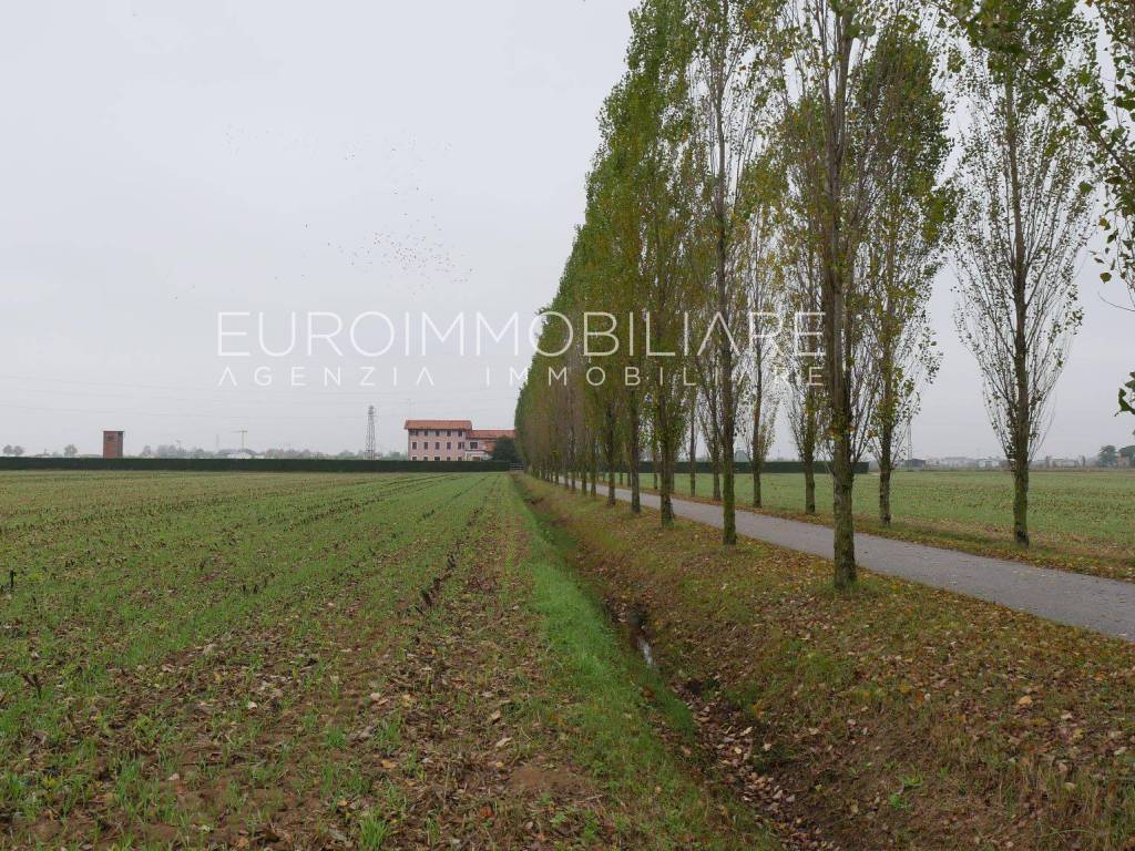 Rustico - Cascina JESOLO vendita    Euroimmobiliare di Montino Andrea & C S.a.s.