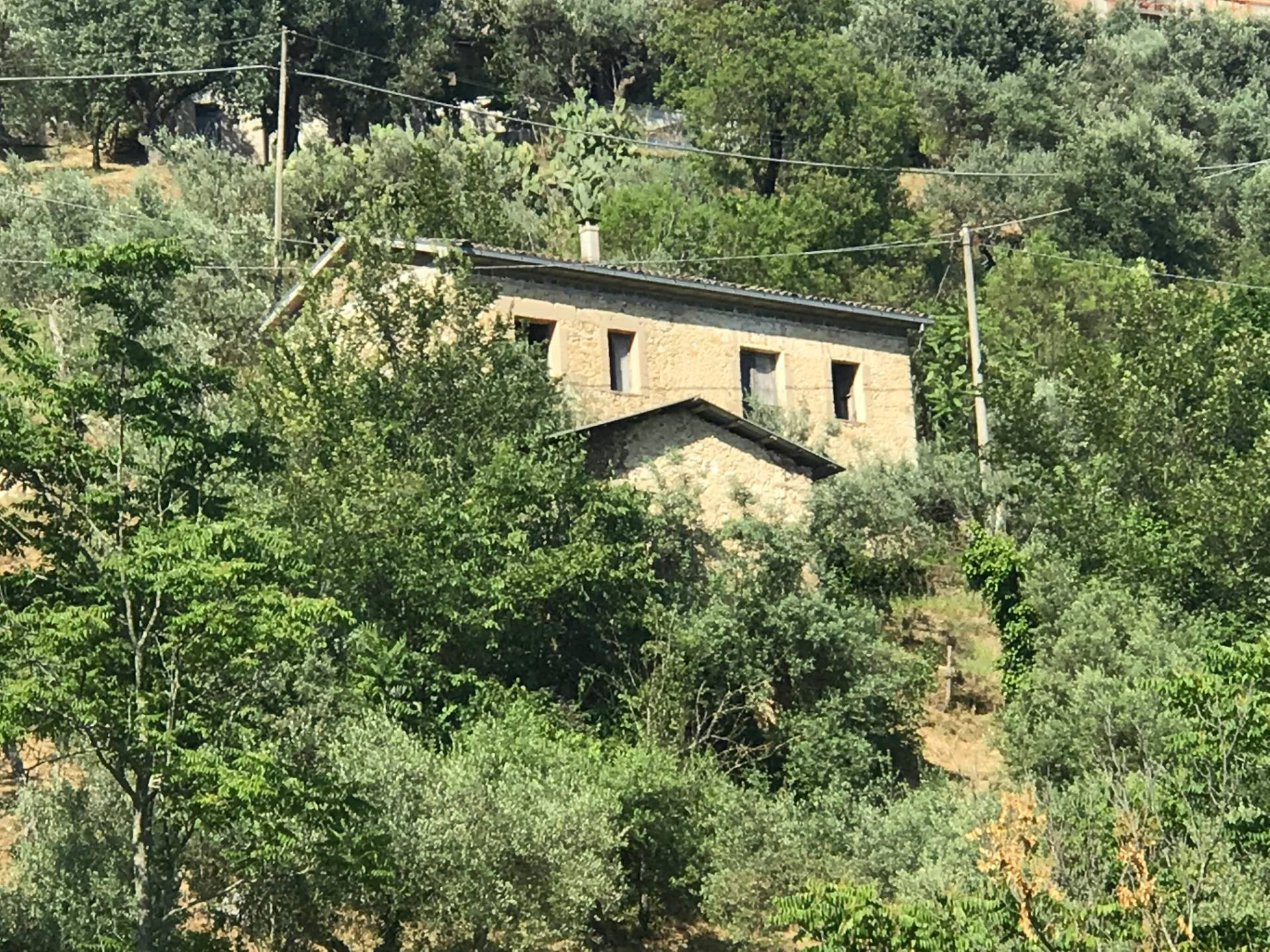  monte-san-giovanni-campano vendita quart:  societ?-italiana-consulenti-immobiliari-srl-alfano-agency