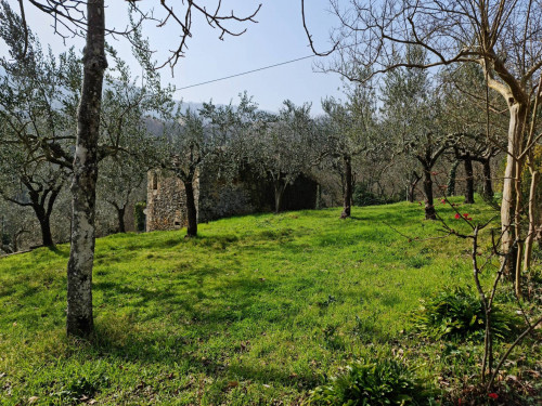 detached house for sale in Casalvieri
