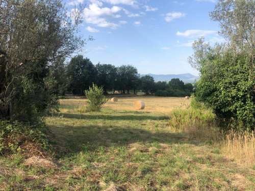 Rustico in vendita a Roccasecca