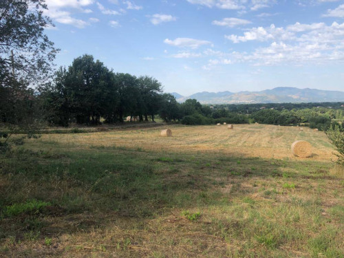 Rustico in vendita a Roccasecca