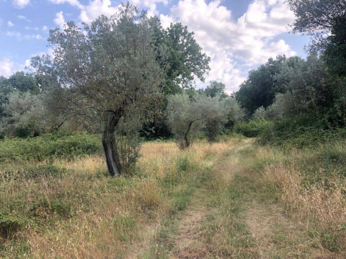 Rustico in vendita a Roccasecca