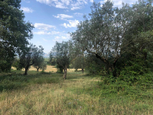 Rustico in vendita a Roccasecca