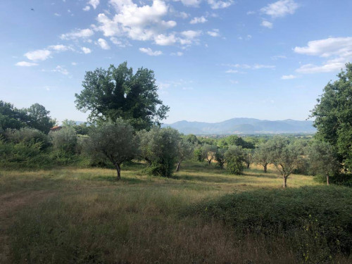 Rustico in vendita a Roccasecca