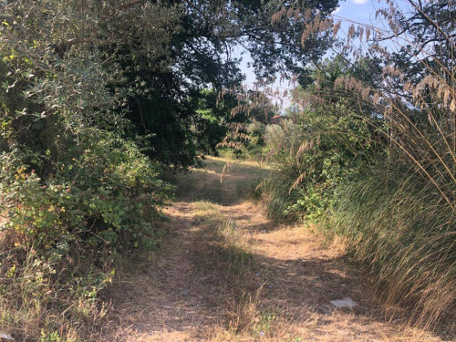 Rustico in vendita a Roccasecca