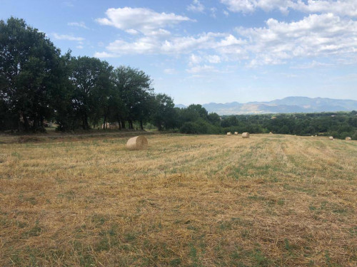 Rustico in vendita a Roccasecca