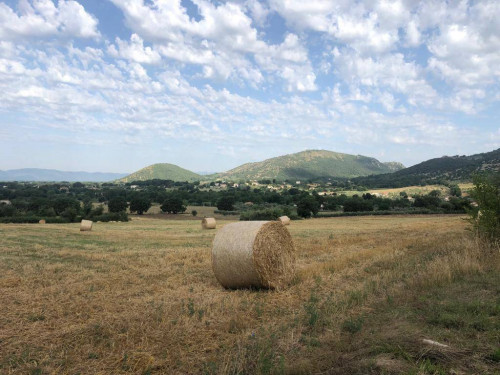 Rustico in vendita a Roccasecca