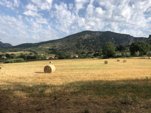 Rustico in vendita a Roccasecca