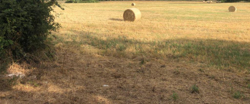 Rustico in vendita a Roccasecca