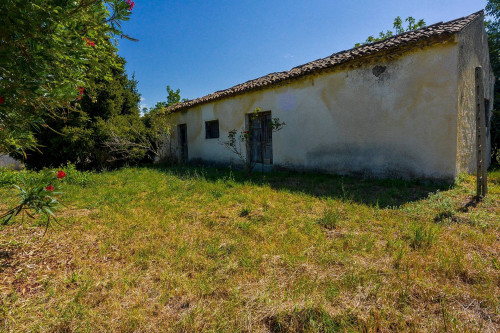 farmhouse for sale in Pignataro Interamna