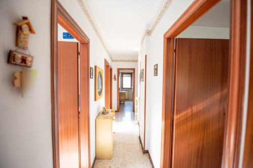 Appartamento in vendita a Colfelice