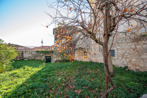 Abitazioni tipiche storiche in vendita a San Donato Val di Comino