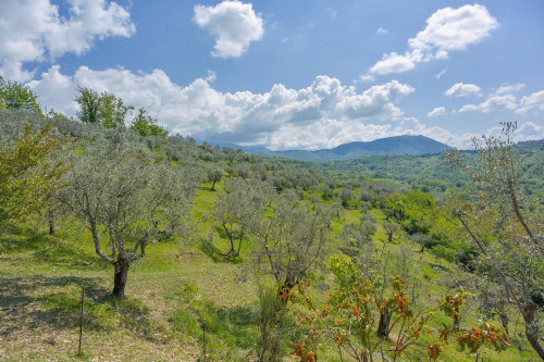 Villa in vendita a Sora
