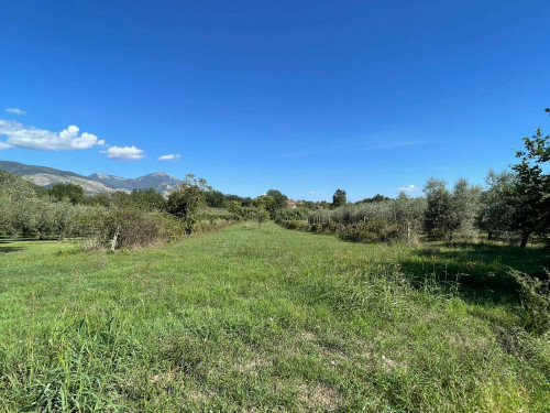 detached house for sale in Colfelice