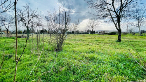 Casale di campagna in vendita a Roccasecca