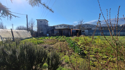 Casa indipendente in vendita a Ferentino