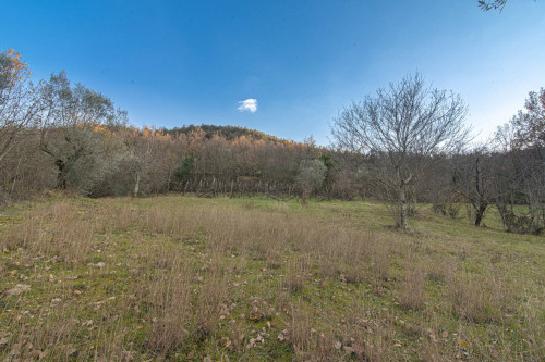 Casale di campagna in vendita a Arpino