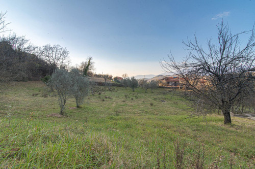 Casale di campagna in vendita a Arpino