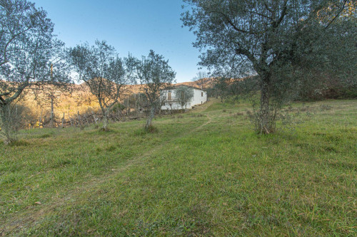 Casale di campagna in vendita a Arpino