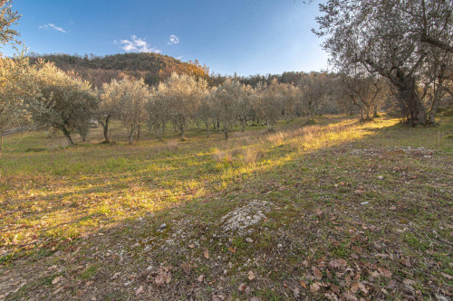 Casale di campagna in vendita a Arpino